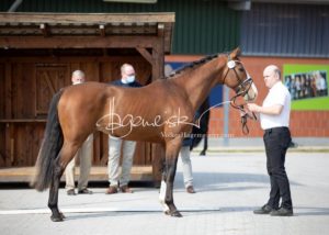 ZfdP Frühjahrskörung 19