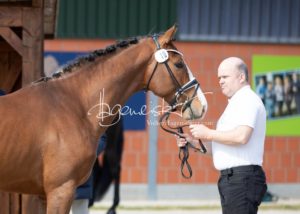 ZfdP Frühjahrskörung 20