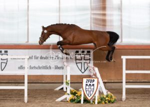ZfdP Frühjahrskörung 22