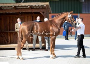 ZfdP Frühjahrskörung 24