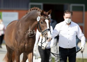 ZfdP Frühjahrskörung 4