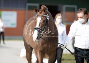 ZfdP Frühjahrskörung 5