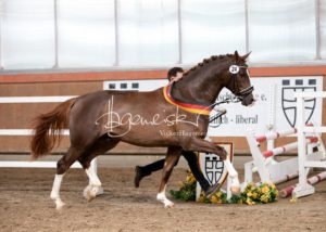 ZfdP Frühjahrskörung 7