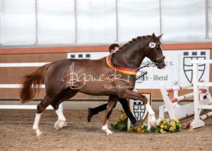 ZfdP Frühjahrskörung 8