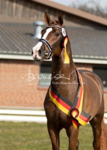 ZfdP Frühjahrskörung 10