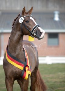 ZfdP Frühjahrskörung 11