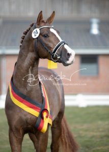 ZfdP Frühjahrskörung 12