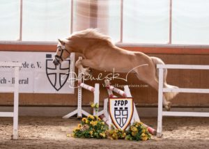 ZfdP Frühjahrskörung 16