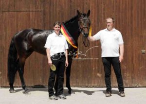 ZfdP Körung Grevenbroich 17