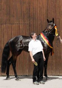 ZfdP Körung Grevenbroich 18