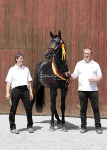 ZfdP Körung Grevenbroich 19