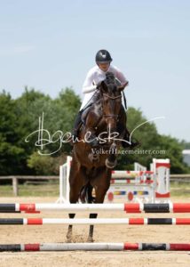 ZfdP Körung Grevenbroich 13