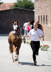 ZfdP Körung Grevenbroich 20