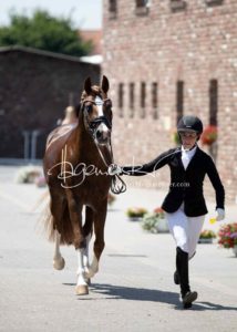 ZfdP Körung Grevenbroich 12