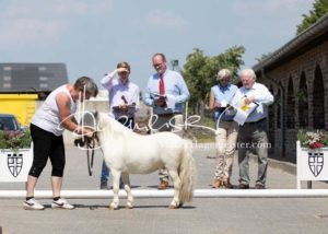 ZfdP Körung Grevenbroich 26