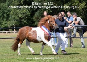 PSB Eliteschau Padenstedt 7