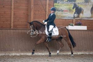 ZfdP Bundesschau Reitpferdeprfg. 1