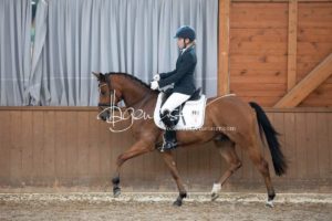 ZfdP Bundesschau Reitpferdeprfg. 2