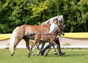 ZfdP Bundesschau Teilnehmer und Impressionen 3
