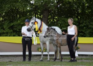 ZfdP Bundesschau - die Sieger 11