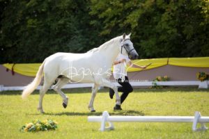 ZfdP Bundesschau Teilnehmer und Impressionen 12