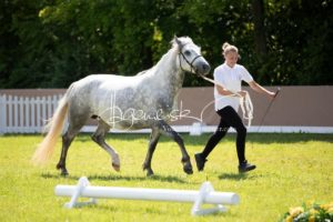 ZfdP Bundesschau Teilnehmer und Impressionen 14