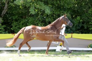 ZfdP Bundesschau Teilnehmer und Impressionen 17