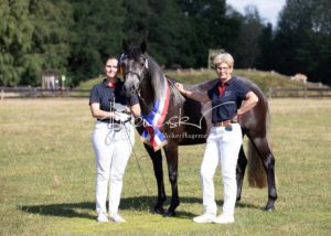 PSB Eliteschau Padenstedt 17