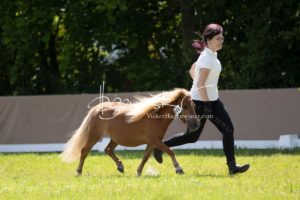 ZfdP Bundesschau Teilnehmer und Impressionen 26