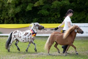 ZfdP Bundesschau Teilnehmer und Impressionen 27