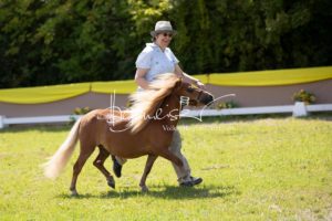 ZfdP Bundesschau Teilnehmer und Impressionen 29