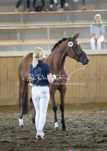 PSB Eliteschau Padenstedt 2