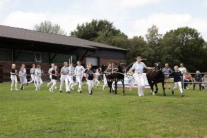 PSB Eliteschau Padenstedt 11