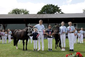 PSB Eliteschau Padenstedt 12