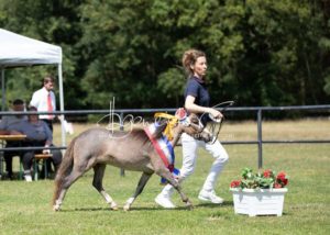 PSB Eliteschau Padenstedt 27