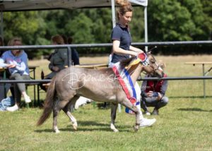 PSB Eliteschau Padenstedt 28