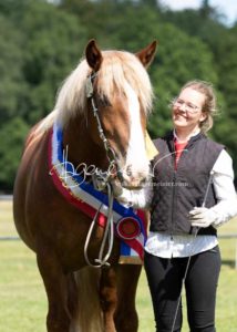 PSB Eliteschau Padenstedt 7