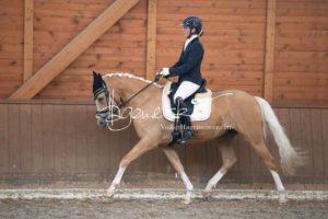 ZfdP Bundesschau Reitpferdeprfg. 15