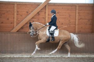 ZfdP Bundesschau Reitpferdeprfg. 16