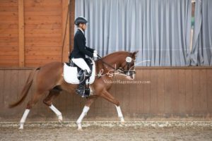 ZfdP Bundesschau Reitpferdeprfg. 20