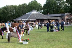 PSB Eliteschau Padenstedt 30