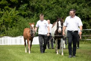 ZfdP Bundesschau Teilnehmer und Impressionen 4