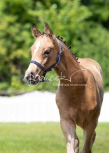 ZfdP Bundesschau Teilnehmer und Impressionen 9