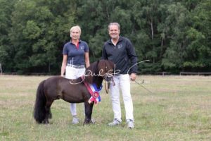 PSB Eliteschau Padenstedt 8