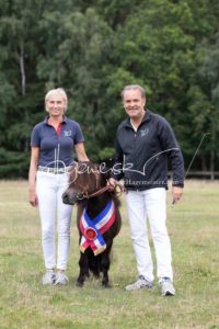 PSB Eliteschau Padenstedt 10