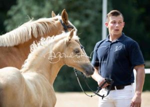 Fohlenregistrierung PSB Schönhorst 2