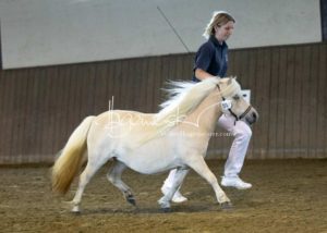 PSB Eliteschau Padenstedt 20