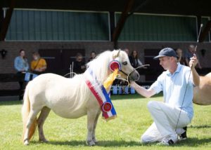 PSB Eliteschau Padenstedt 21