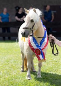 PSB Eliteschau Padenstedt 23