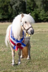 PSB Eliteschau Padenstedt 25